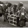 mg 337